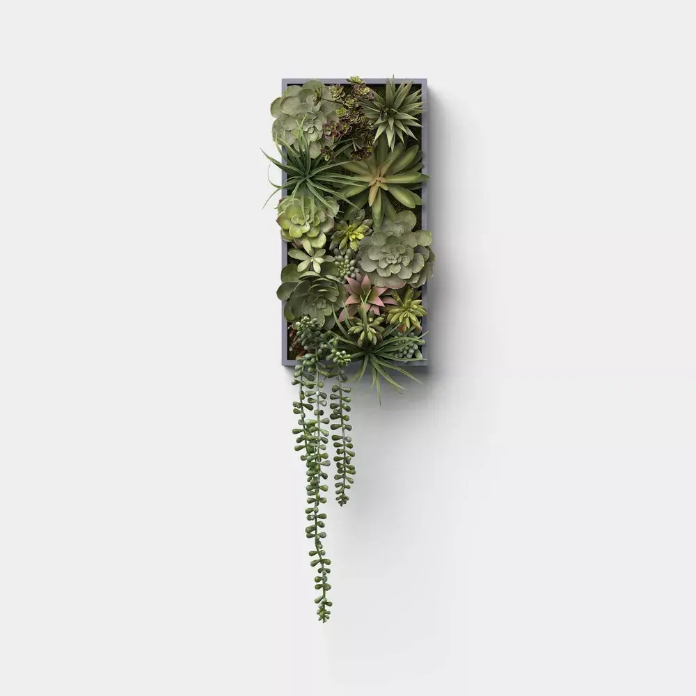 19" Hanging Artificial Succulent Wall Box - Threshold