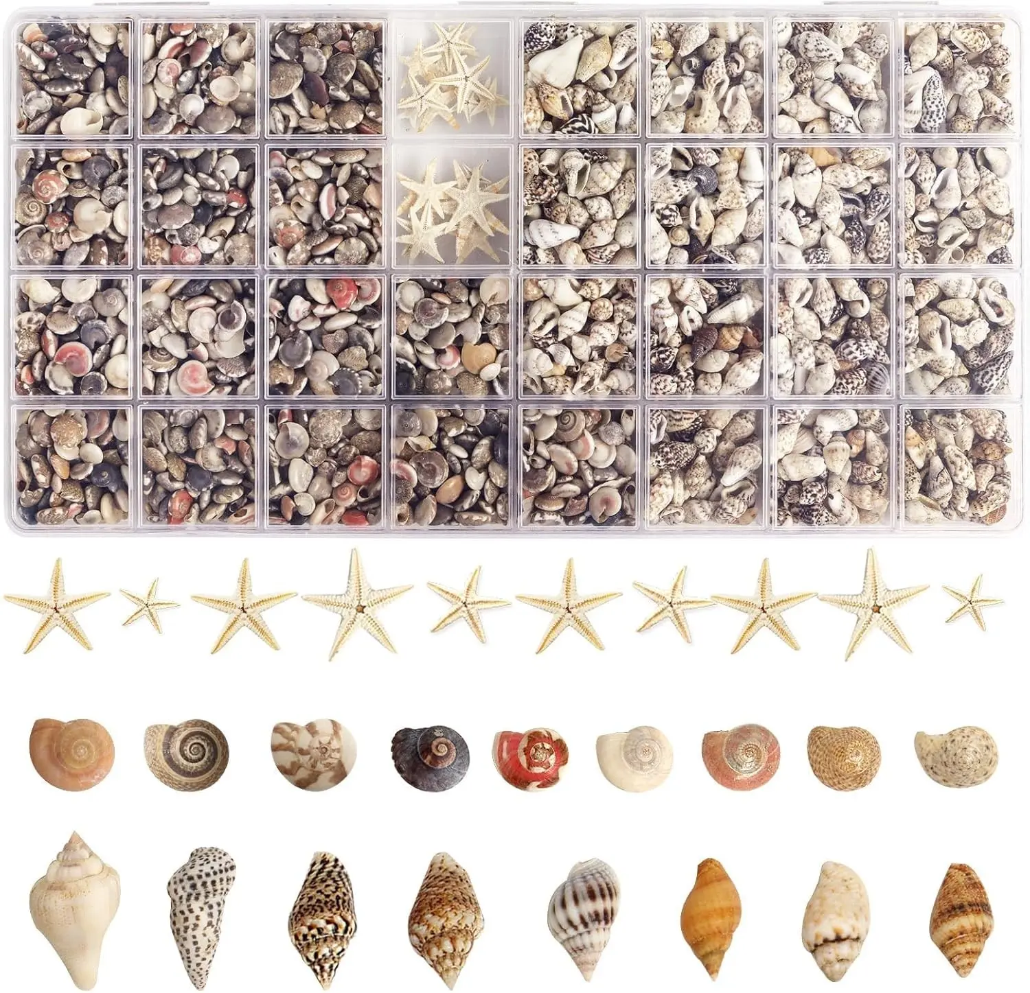 2000 PCS Tiny Sea Shells Mini Shells for Crafting & 20 Small Starfish for Fish Tank and Vase Filler,Home Decorations Candle Decor Beach Theme Party DIY Craft Supplies