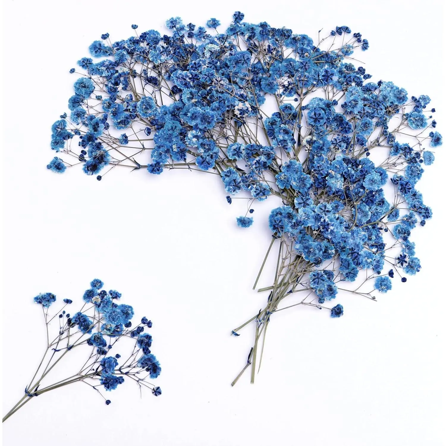 30 PCS Sapphire Blue Dried Pressed Baby's Breath Flower +1PCS Tweezers.Small Flower Branches 2-4 Inches Long.Real Dried Pressed Flowersr .for Making Blessing Card/Resin Art/ DIY Candle Decor.