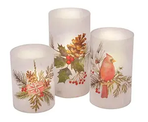 Jeweled Cardinal & Pinecone Flameless LED Candles Set of 3, Frosted Glass Pillar Holiday Decor, Battery Operated Christmas Lights