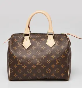 Pre-owned Louis Vuitton PVC Handle bag Monogram Speedy 25 4000028339782