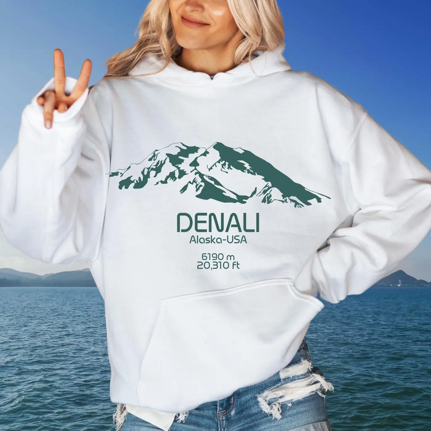 Denali Hoodie, Nature Hoodie Denali National Park Sweatshirt, Granola Girl, Y2K Hoodie, Mountain Hiking, Alaska Range Unisex Heavy