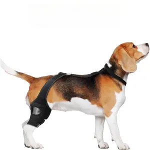 Protect Your Dog's Knees Supportive Hind Leg Brace for Injury Recovery Post Op Care Joint Relief Soft Adjustable Sturdy Knee Sleeve