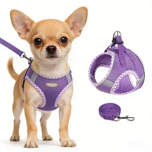 2Pcs Dog Harness and Leash Set, Adjustable No Pull Dog Chest Strap, Outdoor Walking Pet Supplies for Small Medium Large Dogs