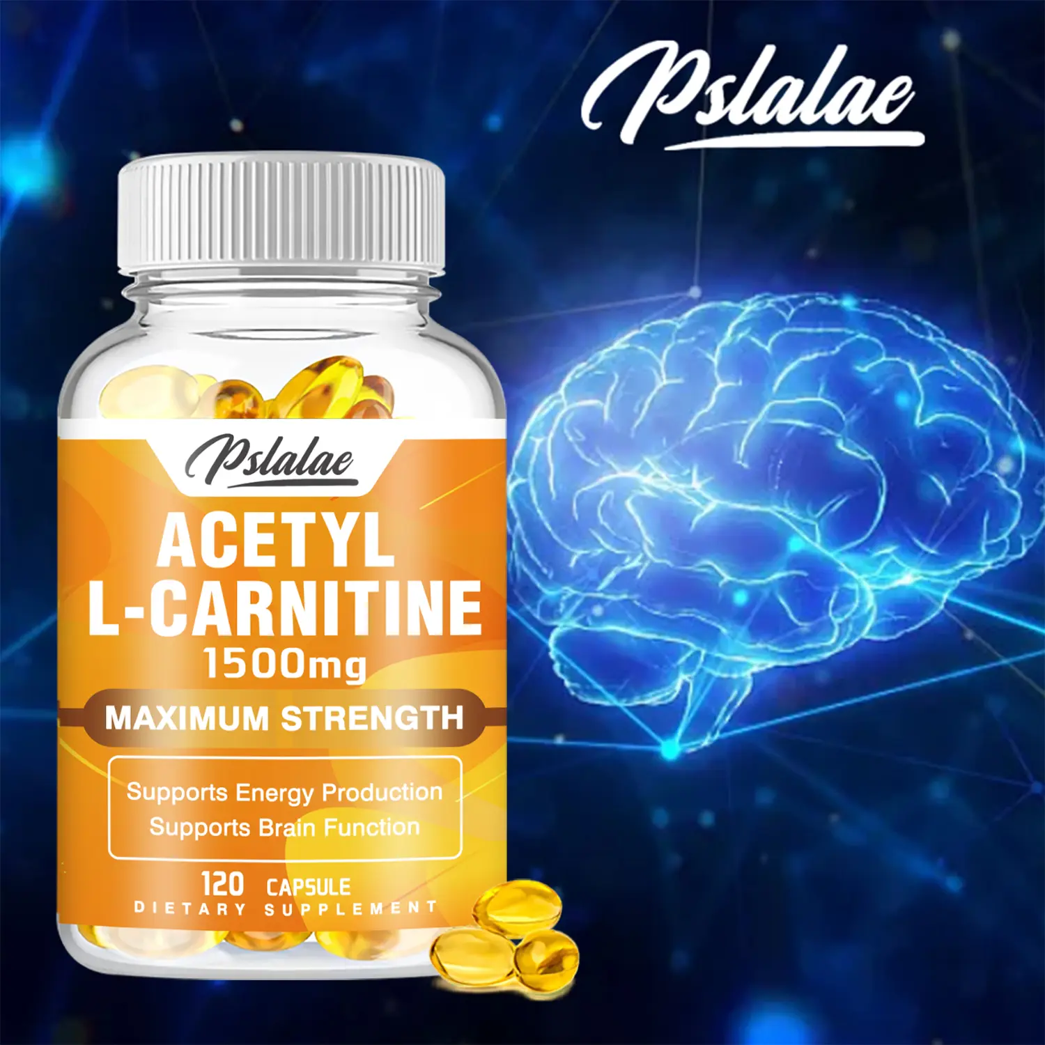 acetyl-l-carnitine amazon Acetyl-L-Carnitine Study main image 1