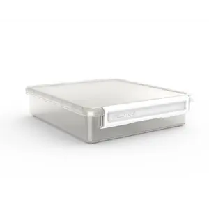 Plastic Cubby Organization Box for Home Storage, 12" x 14" x 3.1"