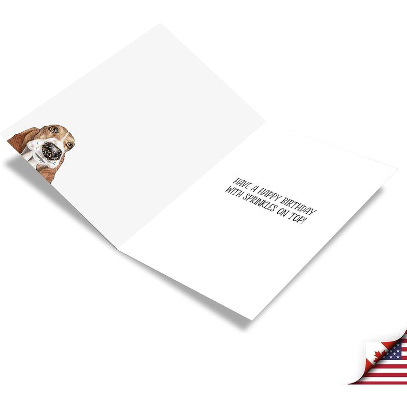 1 Funny Animal Birthday Card w/Envelope  Cute Puppy Card for Birthdays  Dog Antics Sprinkle Nose C3639ABDG