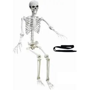 5.4Ft Halloween Life Size Human Skeletons Poseable Life Size Skeletons with Rope Plastic Human Bones with Movable Joints for Halloween Decoration