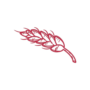 Decor · BARLEY ONE