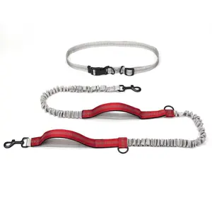 Nylon Dog Training Leash - Outdoor No-Tangle Lead with Comfortable Wear, Multi-Size for Running