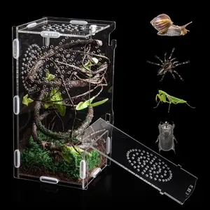 Jumping Spider Enclosure Acrylic Praying Mantis Habitat 8"*4"*4" Insect Terrarium Small Reptile Cage Accessories with Secure Lock for Arboreal Tarantula Snails Bug Lizard