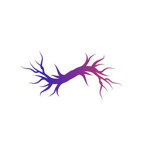 The Makers Multiverse