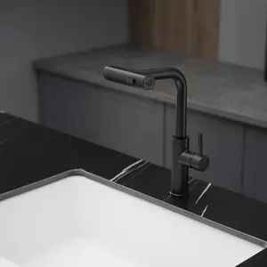 Modern 304 stainless steel Modern new pull out kitchen faucet spray faucet
