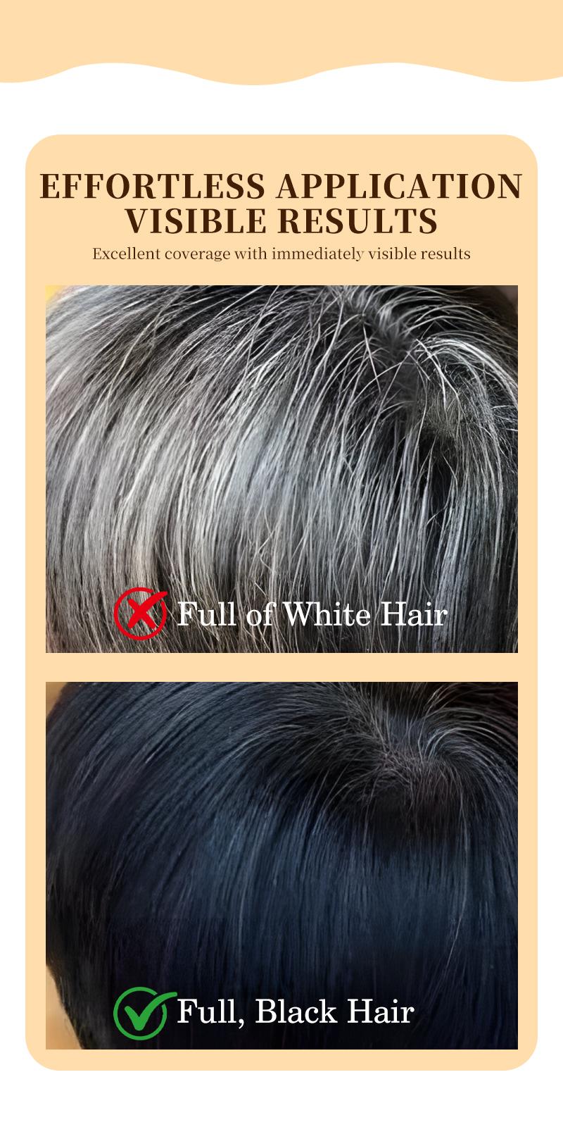 【BUY 1 GET 1】Temporary Hair Dye Comb Hair Color Comb Portable for Quick Touch - Ups, Easy to Color,Covers Gray Hair Haircare Ash Brown Blonde Balayage