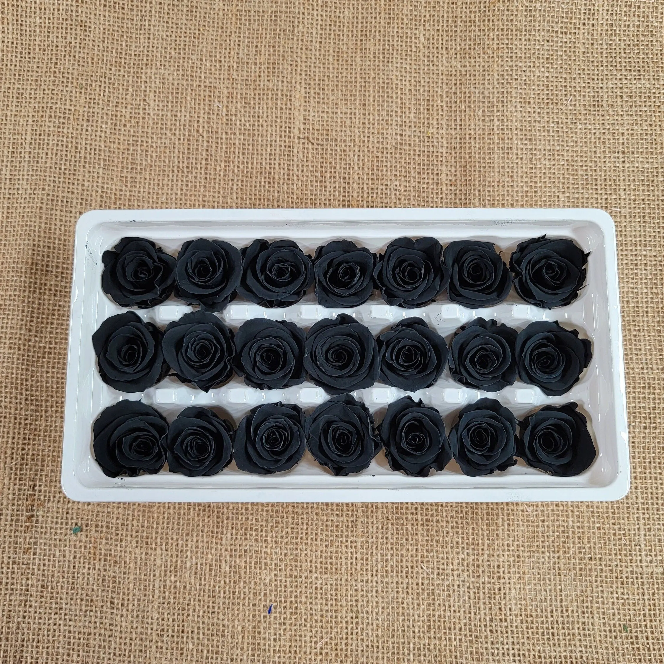 Preserved Roses - black - For Prom, Christmas, Wedding - Dried Roses For Bouquet - Eternity Roses - Forever Roses - 21 Pack,