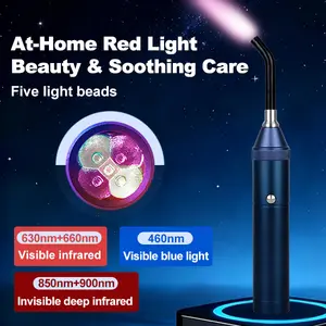 Portable Red & Blue Light Therapy Multifunctional Beauty Device with 5 Light Beads for At-Home Care 630nm 460nm 850nm 900nm