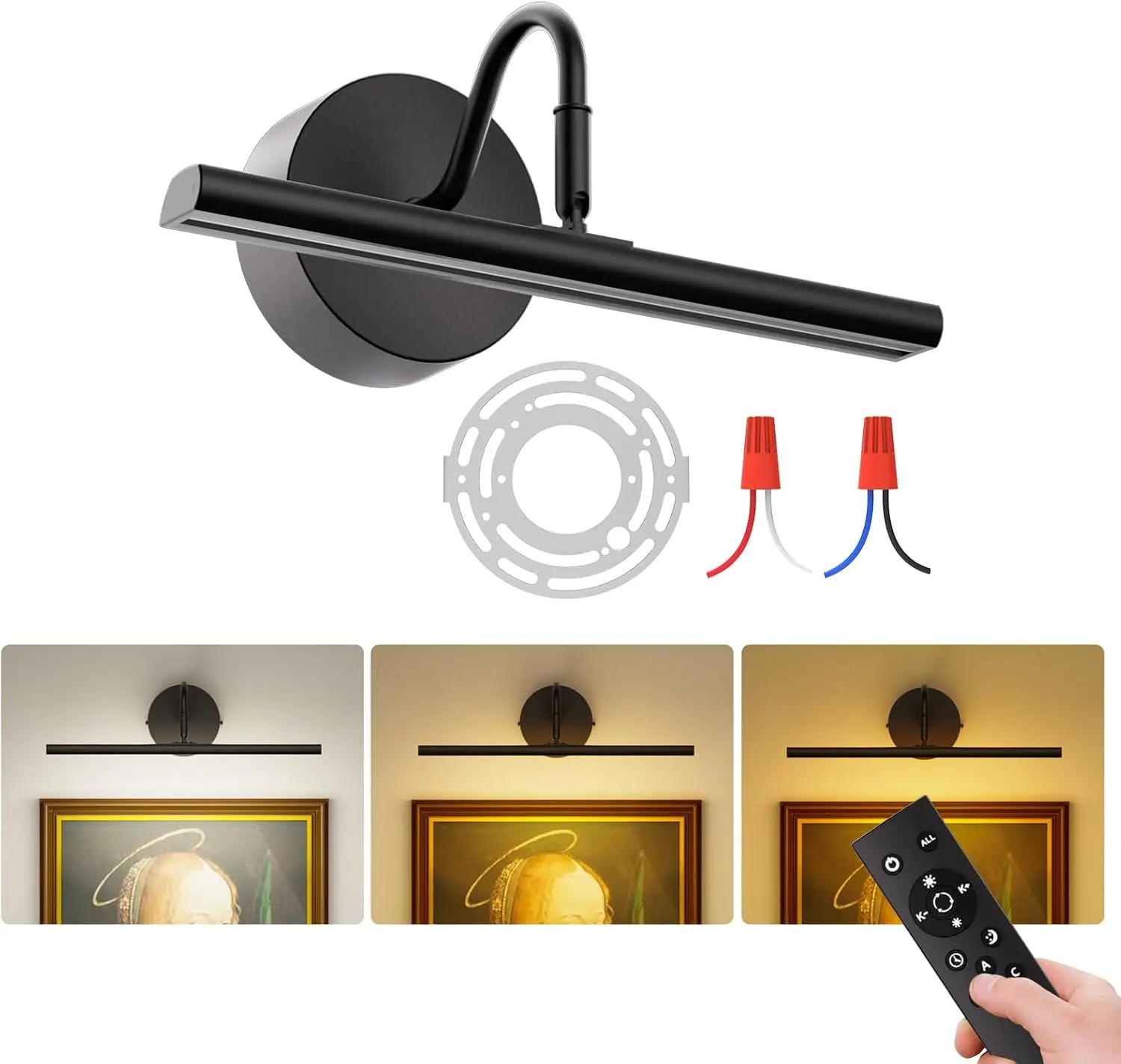 Hardwired Picture Light 12" LED Wall Art Light with Remote, 3CCT Dimmable Picture Lights for Wall, Gallery Art Lamp for Paintings Poster Light, 2700K-6500K Warm Nature White, 12W, Black, 1000 Lns Output, 12 Inches