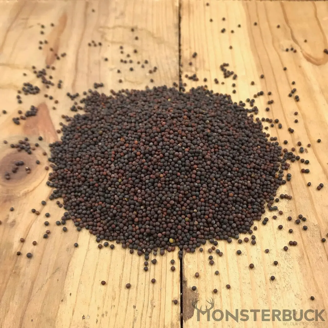 Canola Food Plot Seed
