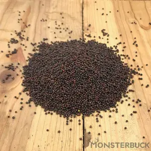 Canola Food Plot Seed