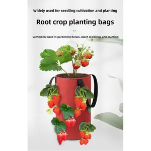 Hanging Grow Bags for Strawberries Tomatoes Hanging Planting Grow Bag Vertical Garden  Strawberry Planter Pot Aeroponic Tower
