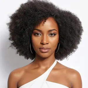 Imani 14 Inch Afro Kinky Curly Wig Short Curly Wig Human Hair for Black Women 250% Density 13x4x2 HD Lace Frontal Wig for Daily Use with Natural Hairline Affordable Wig