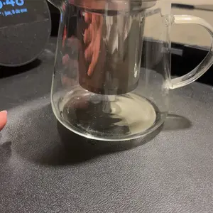 550ML/18.6oz Mini Size Glass Teapot Tea Kettle-with Stainless Steel Removable Infuser for Blooming Tea & Loose Leaf Tea, Microwave & Stovetop Safe