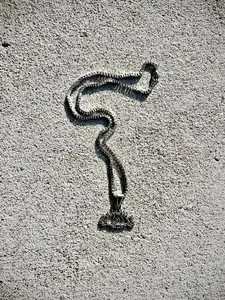 All Seeing Eye Necklace