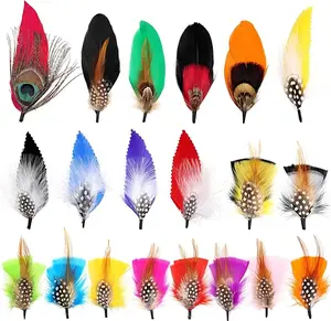 Hat Feathers 20 Styles Natural Assorted Feathers for Fedora Hats Accessories DIY Craft,Western Cowboy Hats,Christmas Party Hats,Oktoberfest Hats