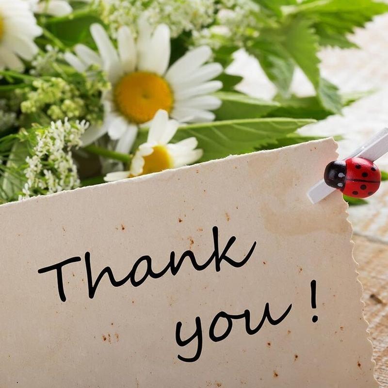 Cyberpunk Futuristic Anime Girl Glitchcore Hoodie Vintage Washed Oversize Heavyweight Cotton Gaming Graphic Crewneck Soft Tops Natural Shade Streetwear Hoodie Video Game Merch Gift