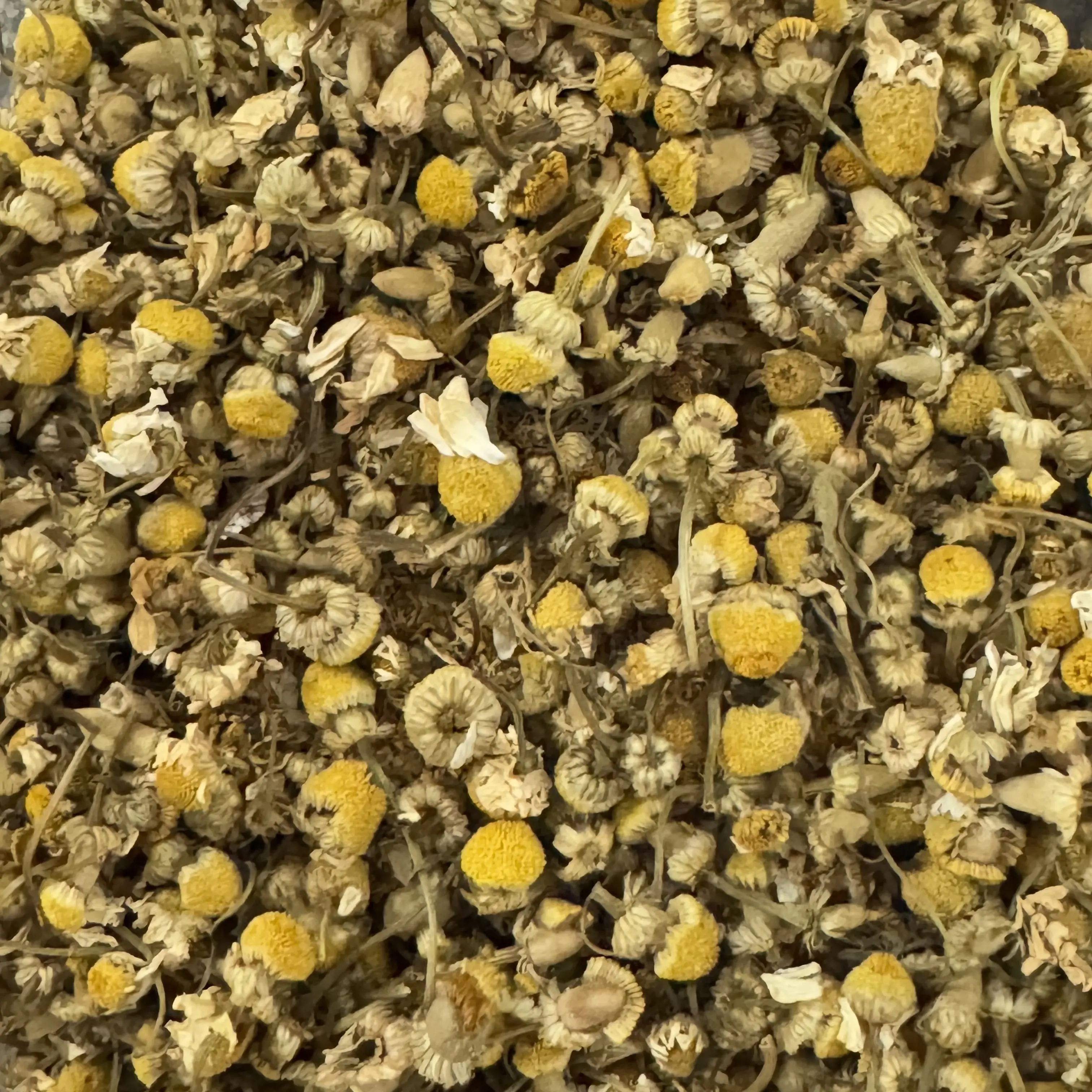 Chamomile