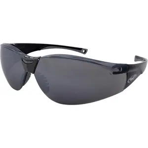 Cruisin Safety Sport Motorcycle Sunglasses