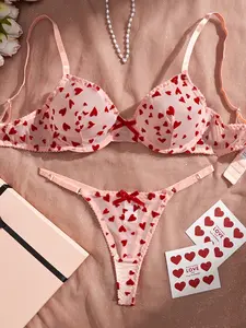 Spring Summer New Women's Sexy Style Lingerie Bra Set, Heart Print Mesh Sweet Underwear 2 Piece Set, Adjustable Straps Thong Panties, Underwear Sets