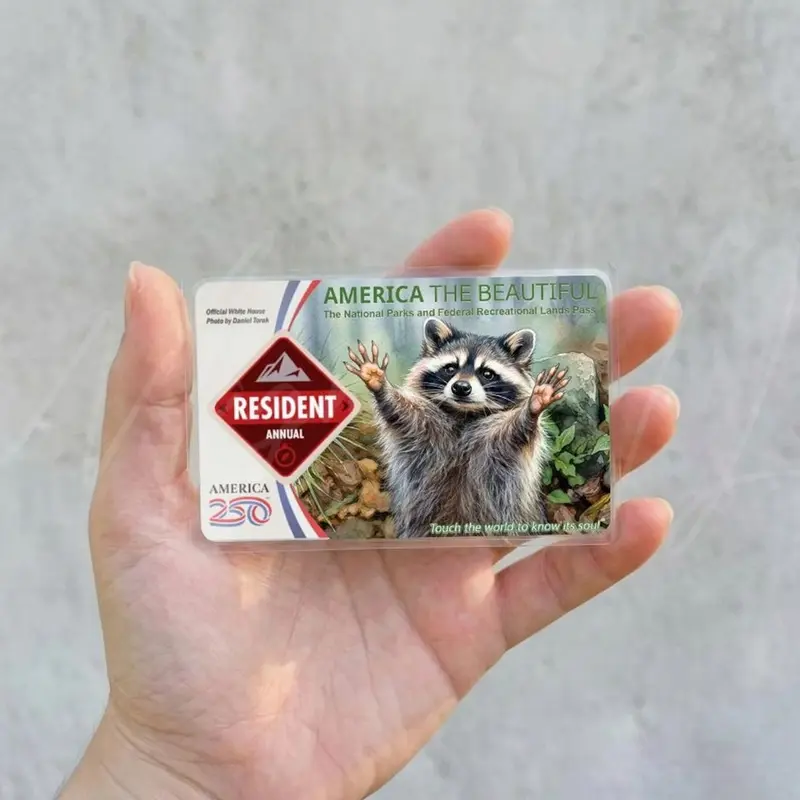 pokemon tcg mega evolution sleeved booster pack 10 cards Mega Evolution Sleeved Booster Pack main image 0