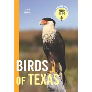 Birds of Texas by David Sarkozi [Paperback Book]