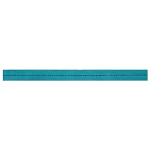 1 in. x 300 ft. Tubular Webbing- Teal