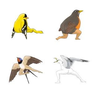 Precise Bird Stickers for Expert Birders (4-Pack) - 2024 Second Edition funny sticker office decor