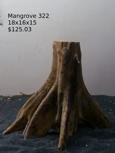 Mangrove Tree Stump 322