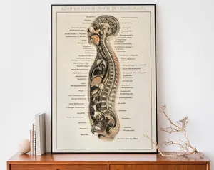[UNFRAMED POSTER] Vintage Human Body Print, Medical Wall Art, Surgical Art, Anatomy Wall Art, Antique Lithograph