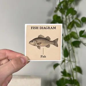 Fish Diagram Sticker - Funny Meme Decal for Laptop or Water Bottle, Laptop Water Bottle Decal