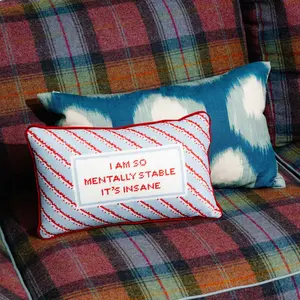 Mentally Stable Needlepoint Pillow