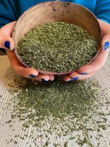 Peruvian Chanca Piedra - Stone Breaker Herb from Peru - Phyllanthus Niruri - Herbal Supplement 2 oz