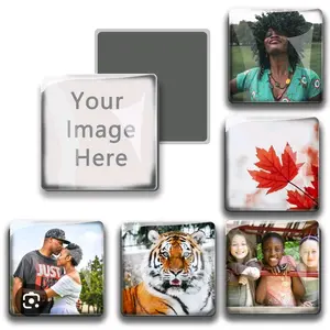 6 Premium Fridge Magnets for Custom Decorations - Kitchen Appliance Accessories