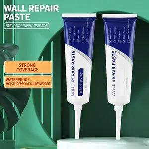 Wall Repair Paste – Quick Fix Crack & Hole Filler | Waterproof, Mold-Resistant, No Paint Needed