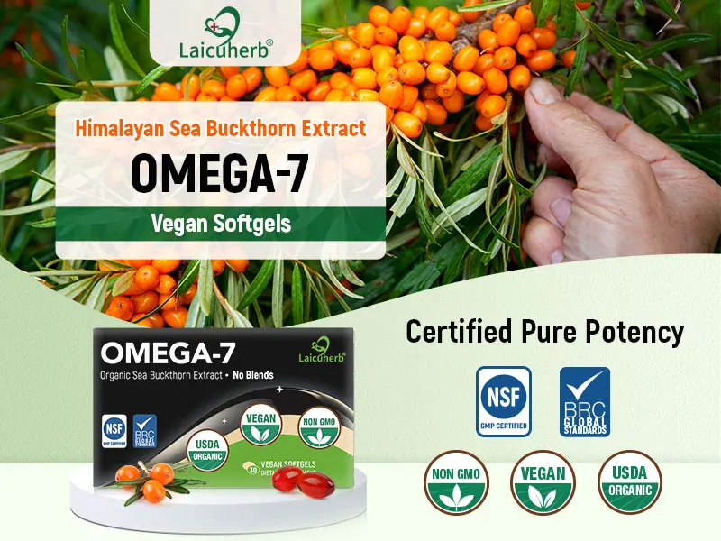 Organic Sea Buckthorn Oil Softgels, Omega 7 Supplement with Omega 3 6 9 Fatty Acids, Vegan Plant Based Capsules, USDA Organic Botanical Formula for Daily Nutrition, Skin Hair Nail Wellness Support