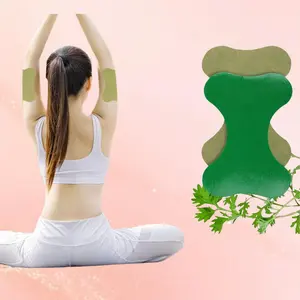 Herbal Wormwood Back and Spine Support Patches 48 Pieces - Targeted Lumbar Support with Traditional Herbal Ingredients & Comforting Design - Menthol