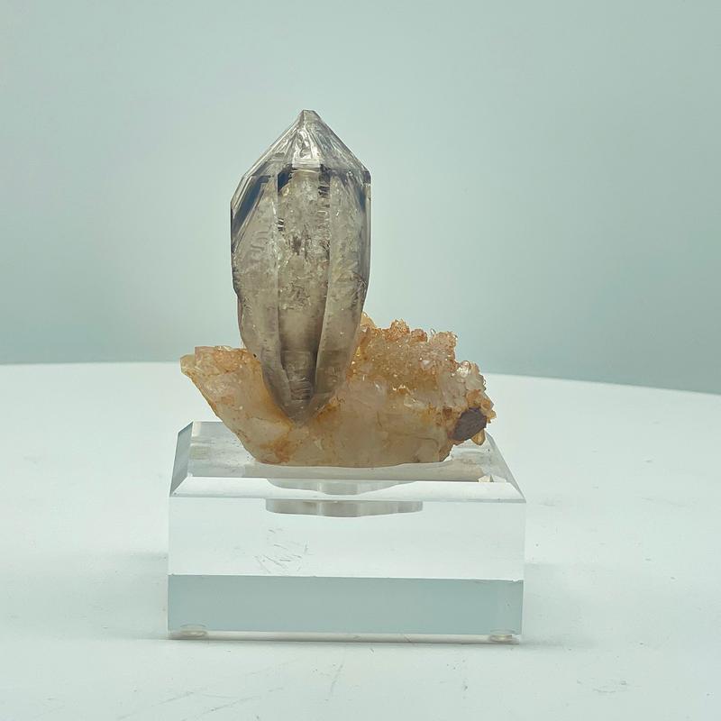 [Earth Archive] Namibian Backbone Smokey Quartz | Crescent Cast