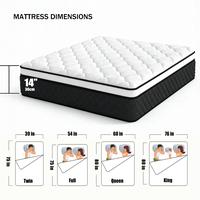 Panda Color 14 Inch #03