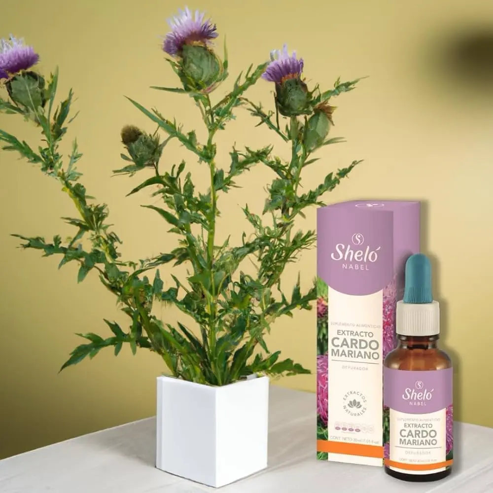 Cardo Mariano/ Milk Thistle for fatty liver dietary supplement