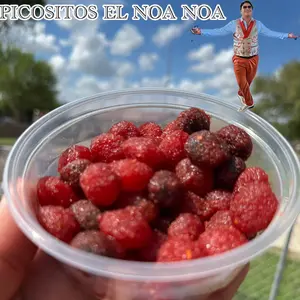 PICOSITOS EL NOA NOA
