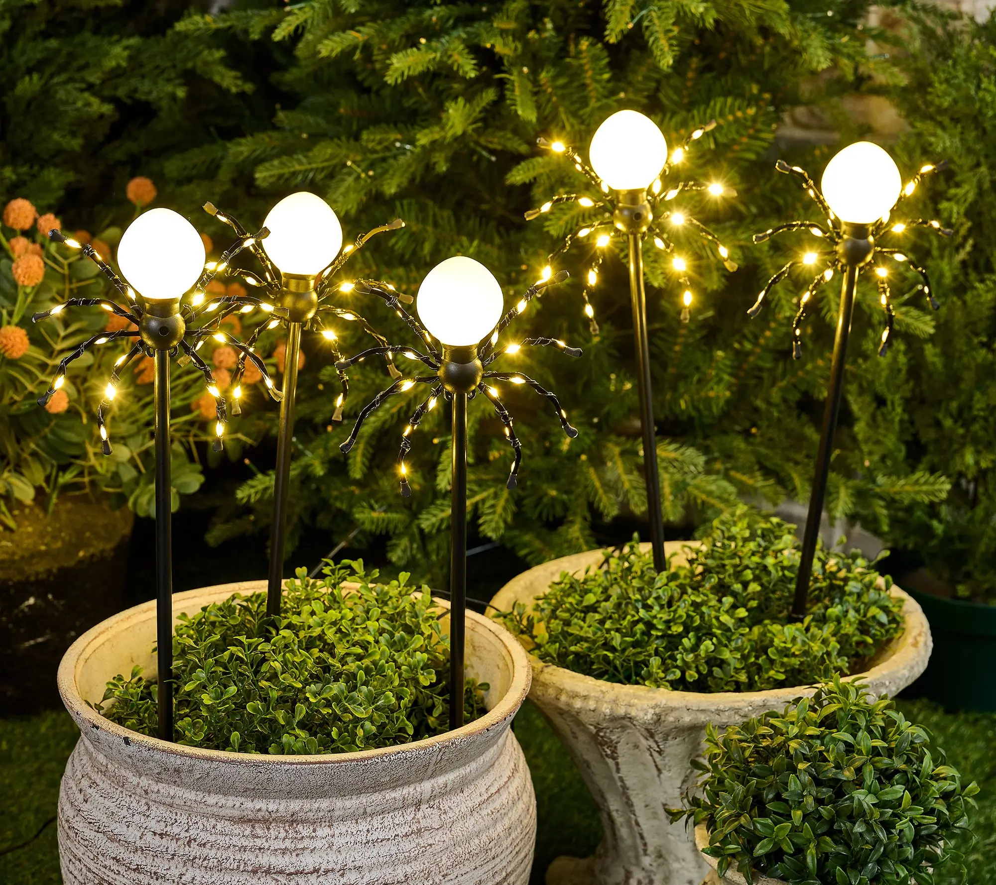 Martha Stewart S/5 Illuminated Indoor/Outdoor 20" Spider Stake Lights Martha Stewart S/5 Illuminated Indoor/Outdoor 20" Spider Stake Lights